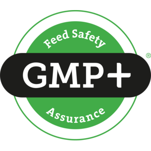 logo gmp